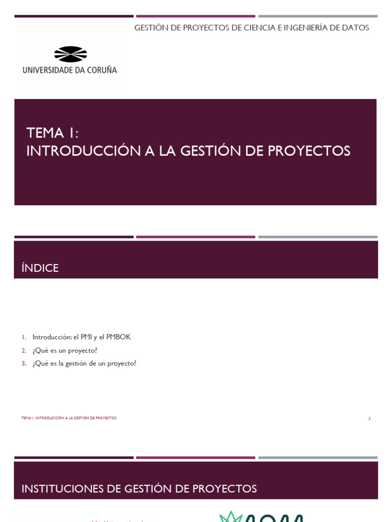 Tema 1. Introducción A La Gestión de Proyectos | PDF
