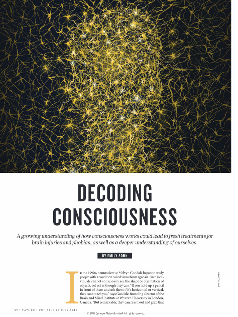 CONSCIOUSNESS NOTES visual data 8