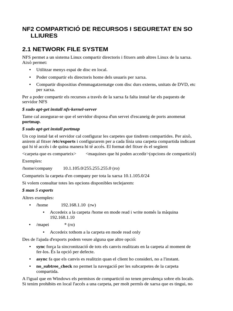 Resum Apunts NFS | PDF