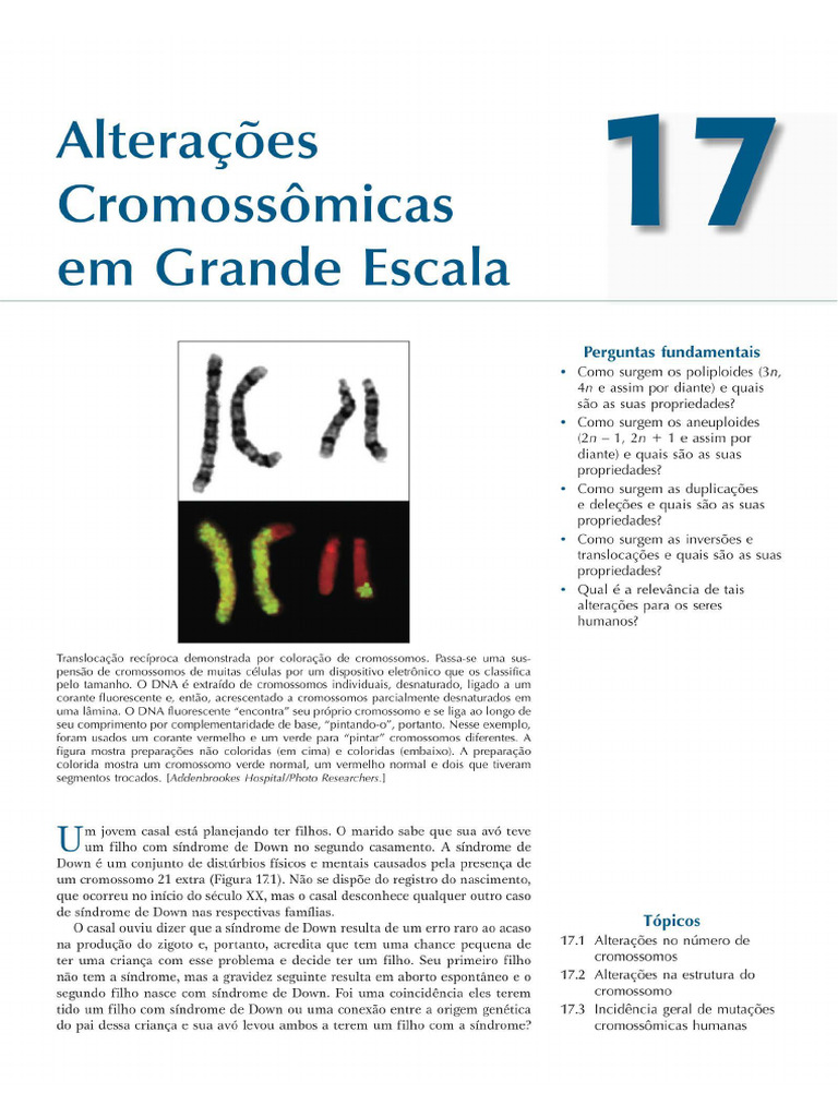 Cap 17 Parte Griffiths | PDF