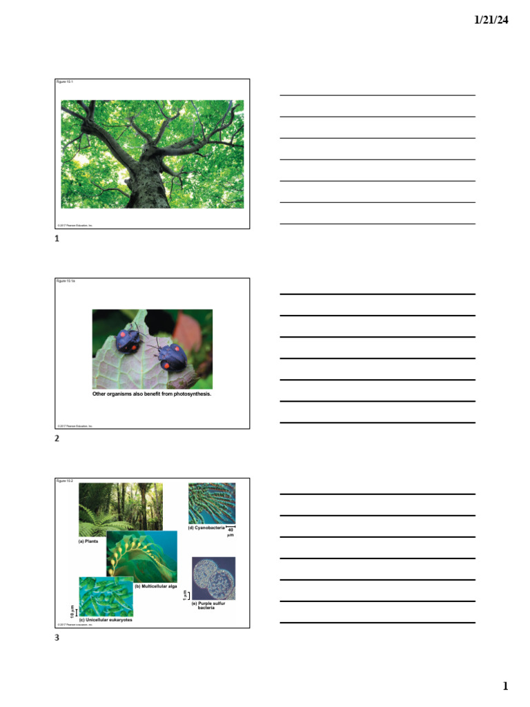 Chapter 10 All Figures | PDF