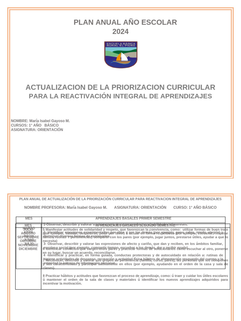 Plan Anual Orientación 1° Básico 2024 | PDF | Modificación de ...