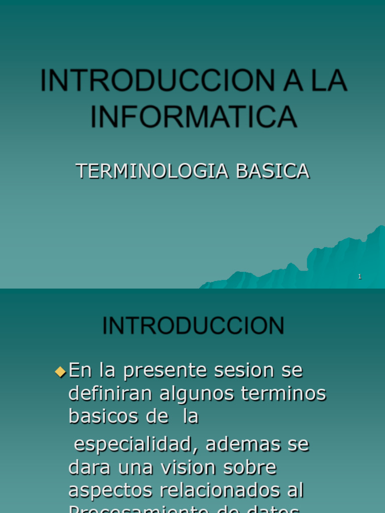 Introduccion A La Informatica | PDF