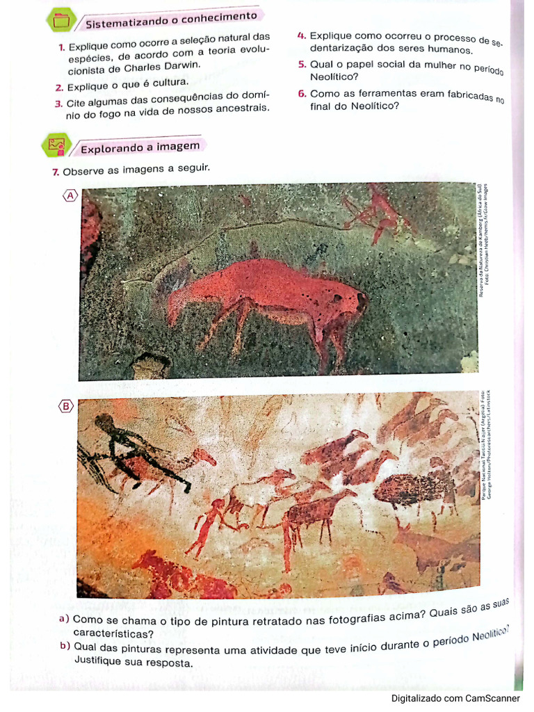 Atividade Primeiro Ano - Surgimento Da Humanidade. | PDF