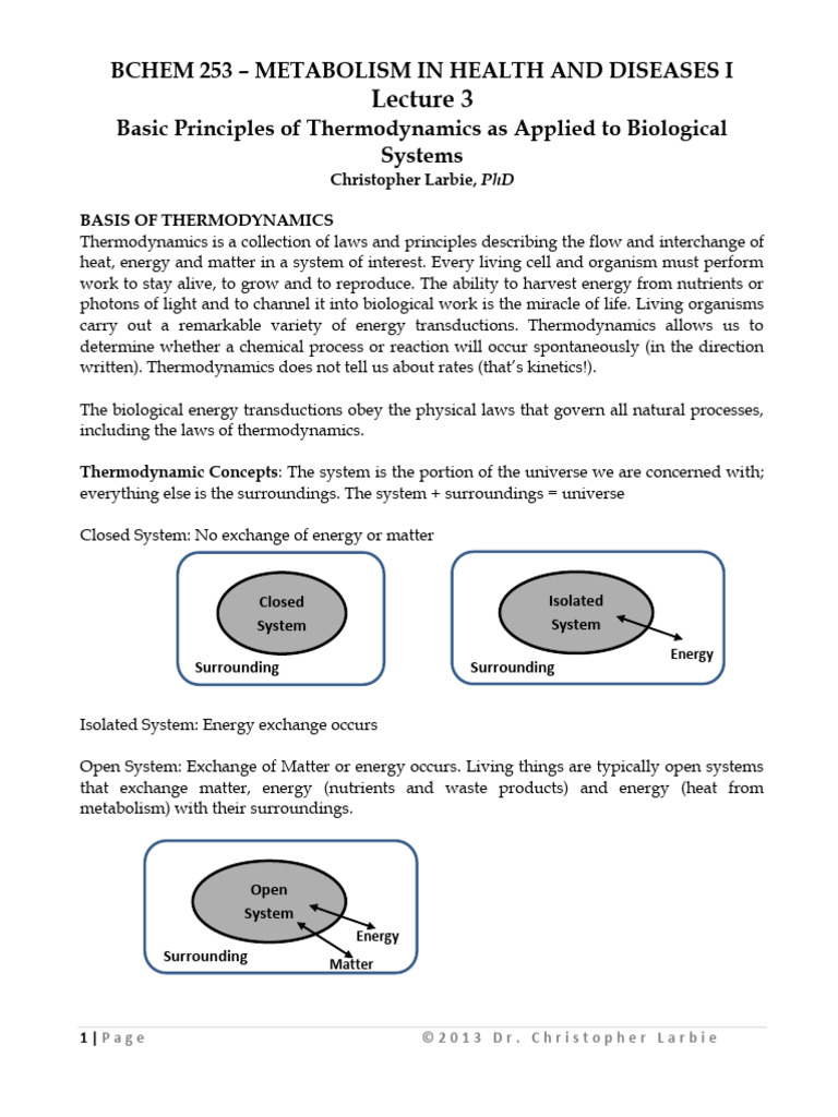 Lecture 3 Notes | PDF