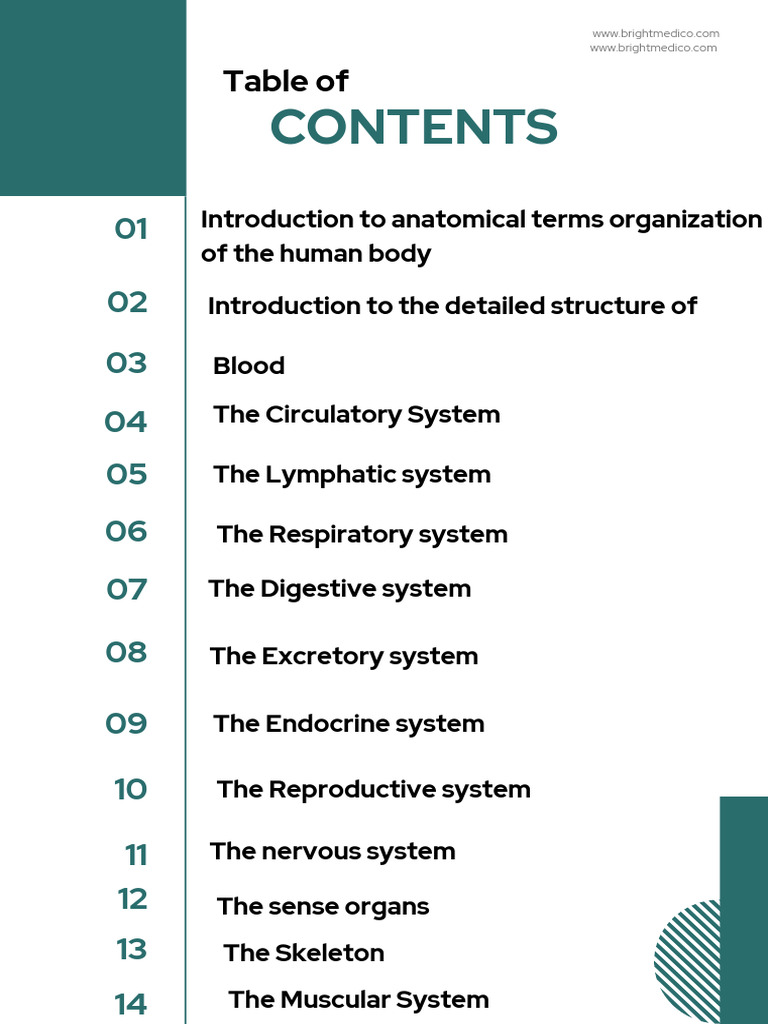 1st Year Anatomy & Physiology GNM Notes | PDF
