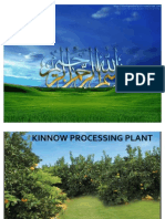 Kinnow Processing Plant (Sitrus Fruit)
