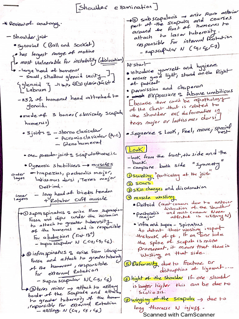 1 Shoulder Examination Pdf