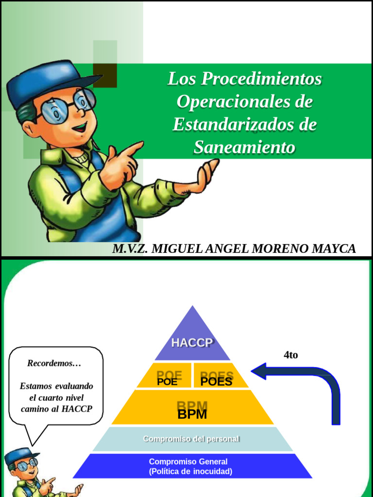 POES | PDF | Grammar | Linguistic Typology