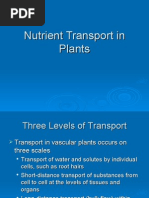 Download Plant Transport by zorbax SN7748156 doc pdf