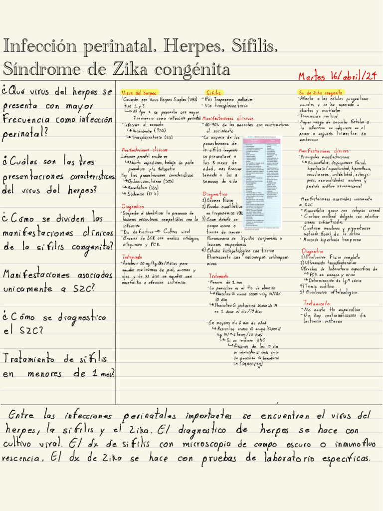 Infecciones Perinatales. 2 | PDF