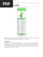 Download MUA COMPONENTES by Miguel Angel Ramirez Arellano SN77482106 doc pdf