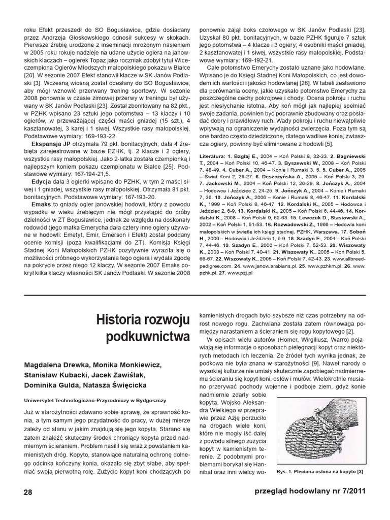 10 Drewka Monkiewicz - Podkowy | PDF