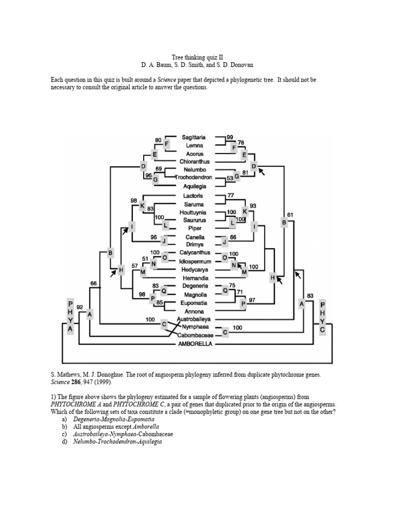 Baum Et Al 2005 Tree Thinking Challange ConQuices | PDF
