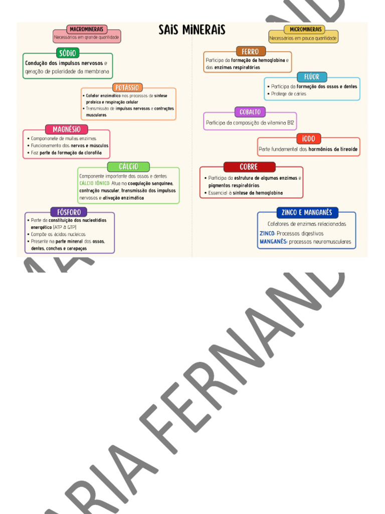 Sais Minerais | PDF