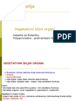 3. vegetativni biljni organi.