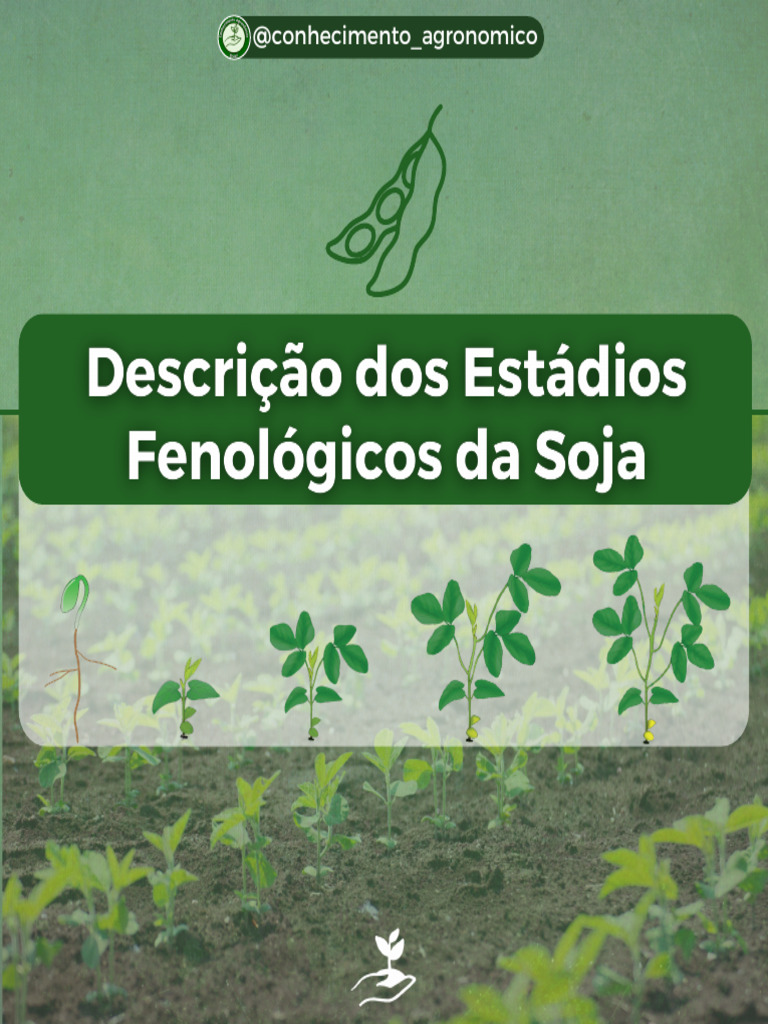 descri-o-est-dios-fenol-gicos-soja-conhecimento-agronomico-pdf
