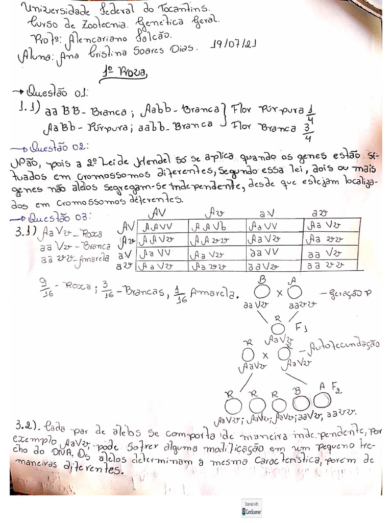 Prova Genética Ana Pdf