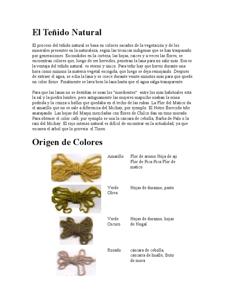 Teñido Natural de Lana Mapuche | PDF | Oveja | Telar