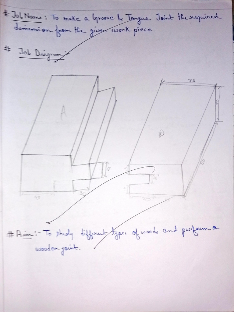 Carpentry | PDF