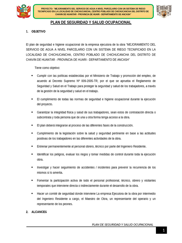 01.00 Plan de Seguridad y Salud Ocupacional | PDF