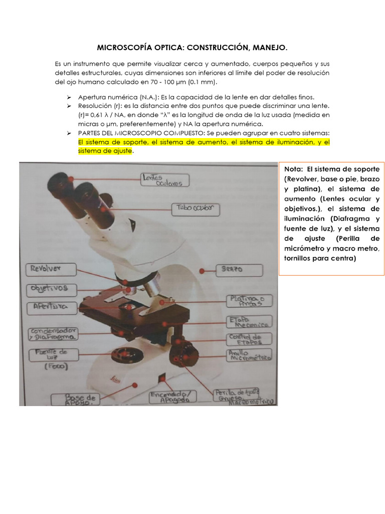 Microscopía Optica | PDF