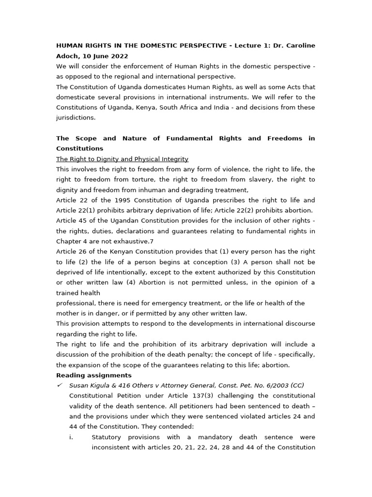 Human Rights - Domestic Perspective | PDF