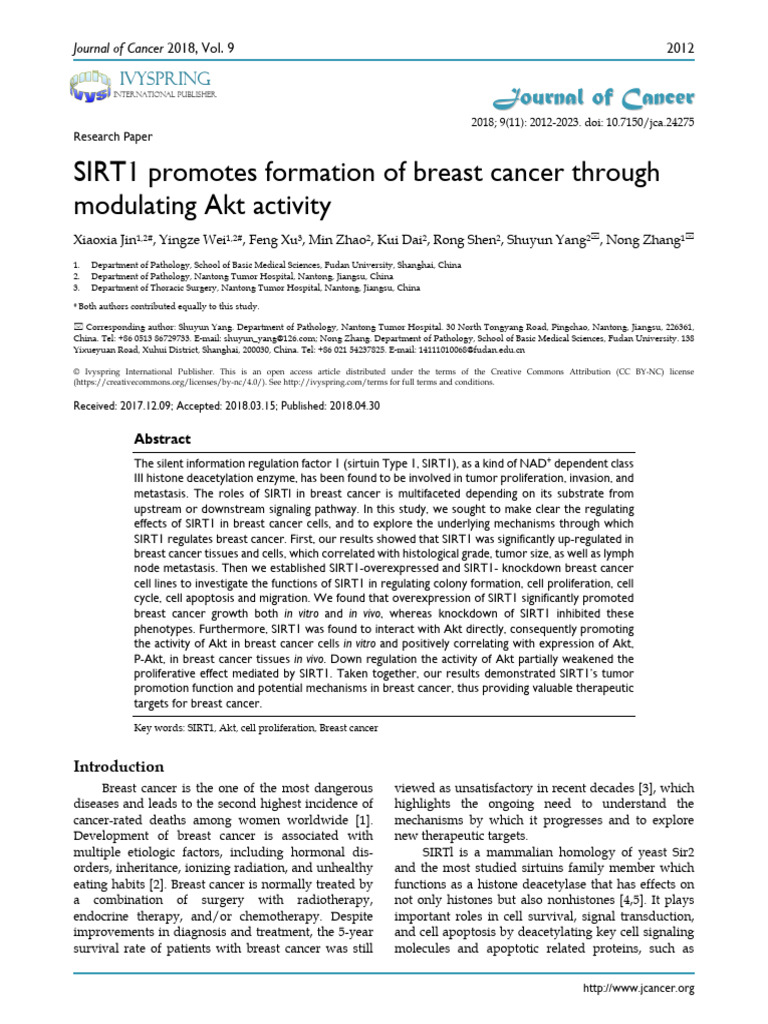 SIRT1 Promotes Formation of Breast Cancer Through Akt Pathway | PDF