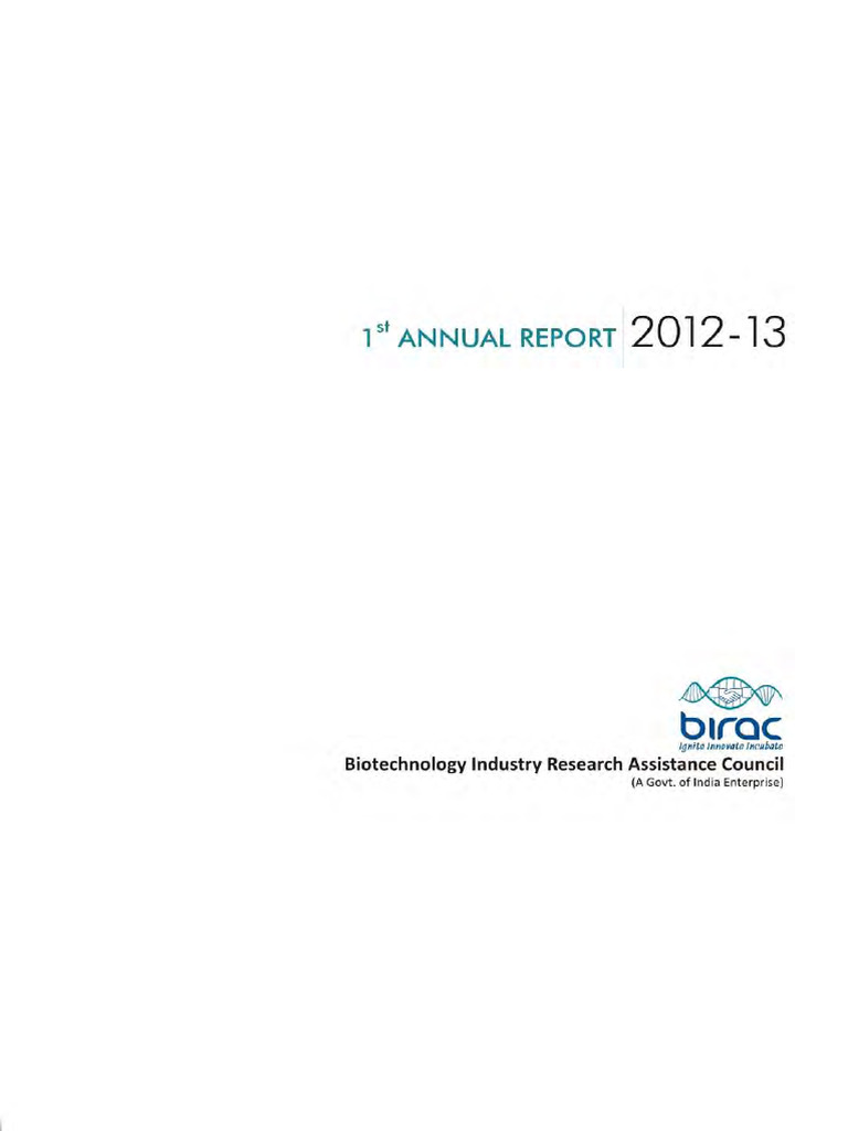 Annual Report 2 | PDF