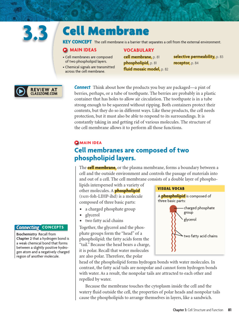 Genbio 2 Lec Topic Guide T3 22 23 Pdf Cell Biology Cell Membrane
