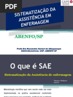 SAE RESUMO AULA