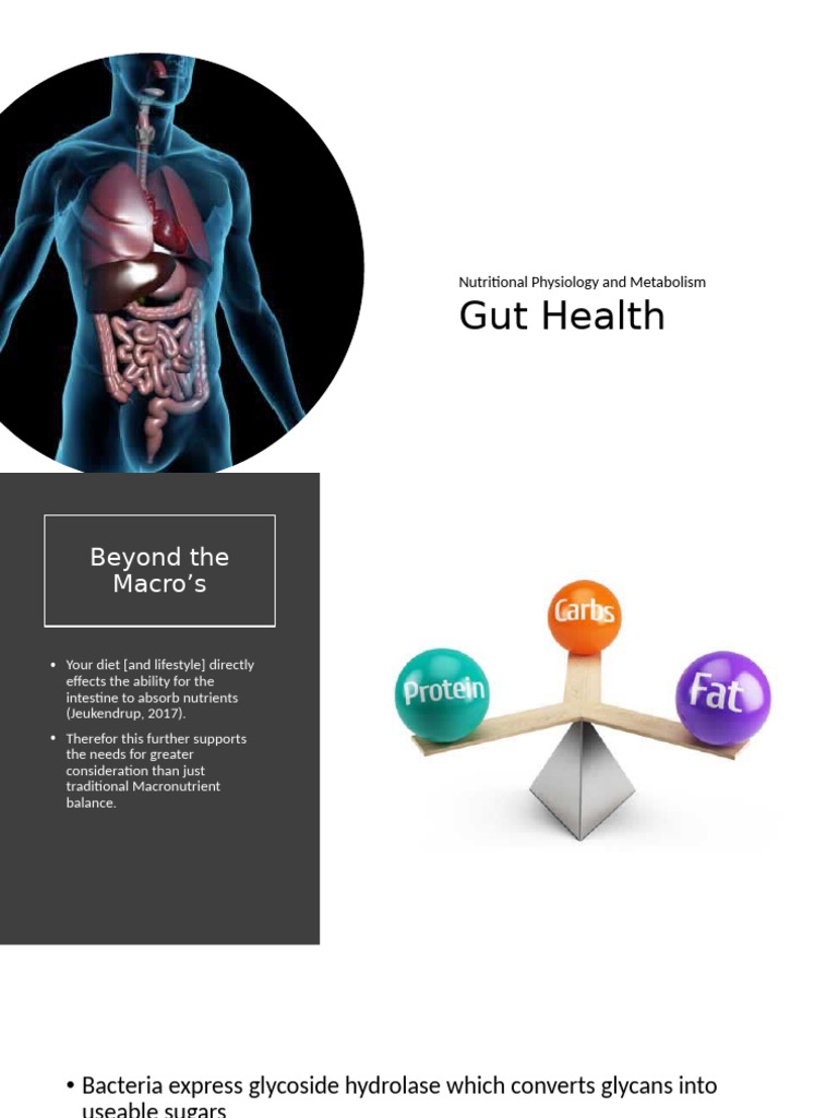 Gut Health Lecture Slides | PDF