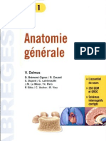 Anatomie Generale