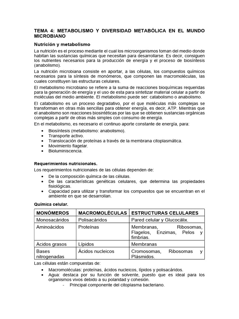 Tema 4 Micro | PDF