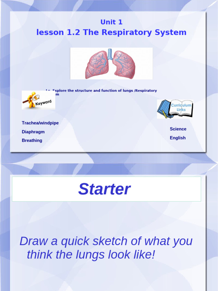 L2 Respiratory-System | PDF