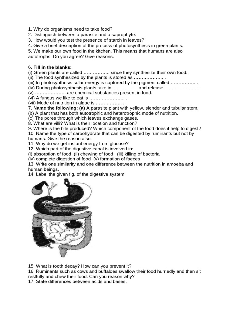 Class 7 Practice Worksheet Term I | PDF