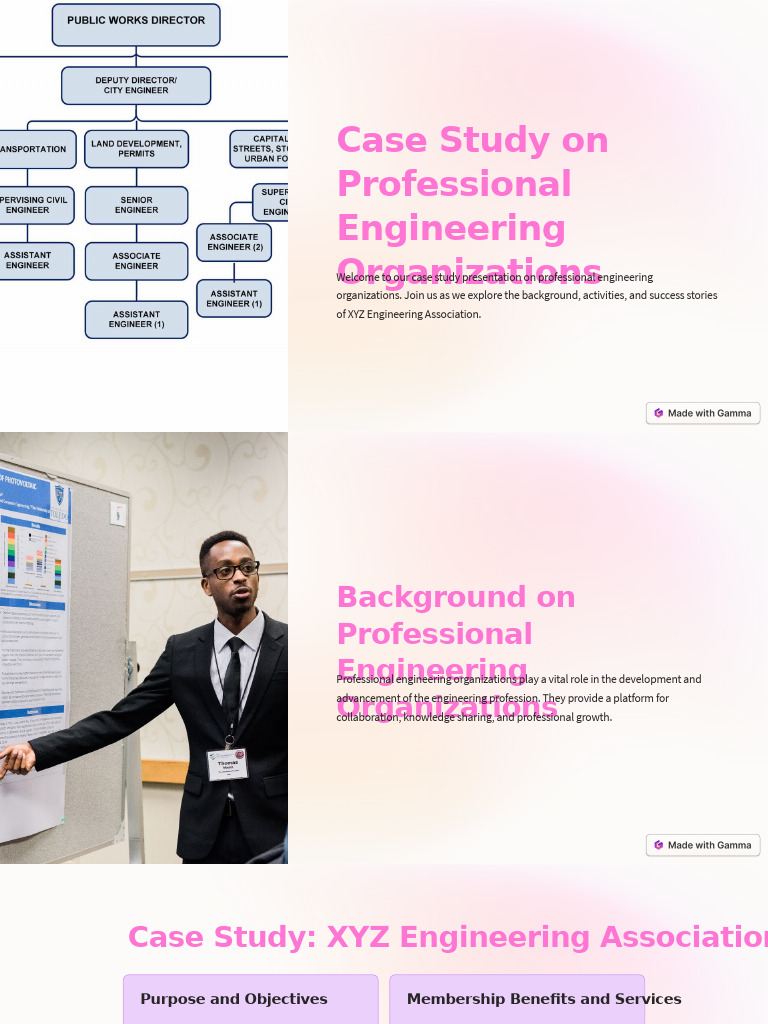 Case Study: XYZ Engineering Association | PDF | Finance & Money ...