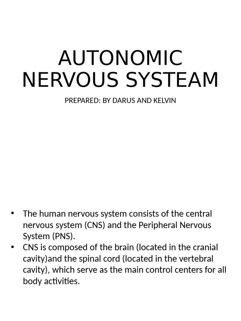 AUTONOMIC NERVO-WPS Office | PDF | Autonomic Nervous System | Motor Neuron