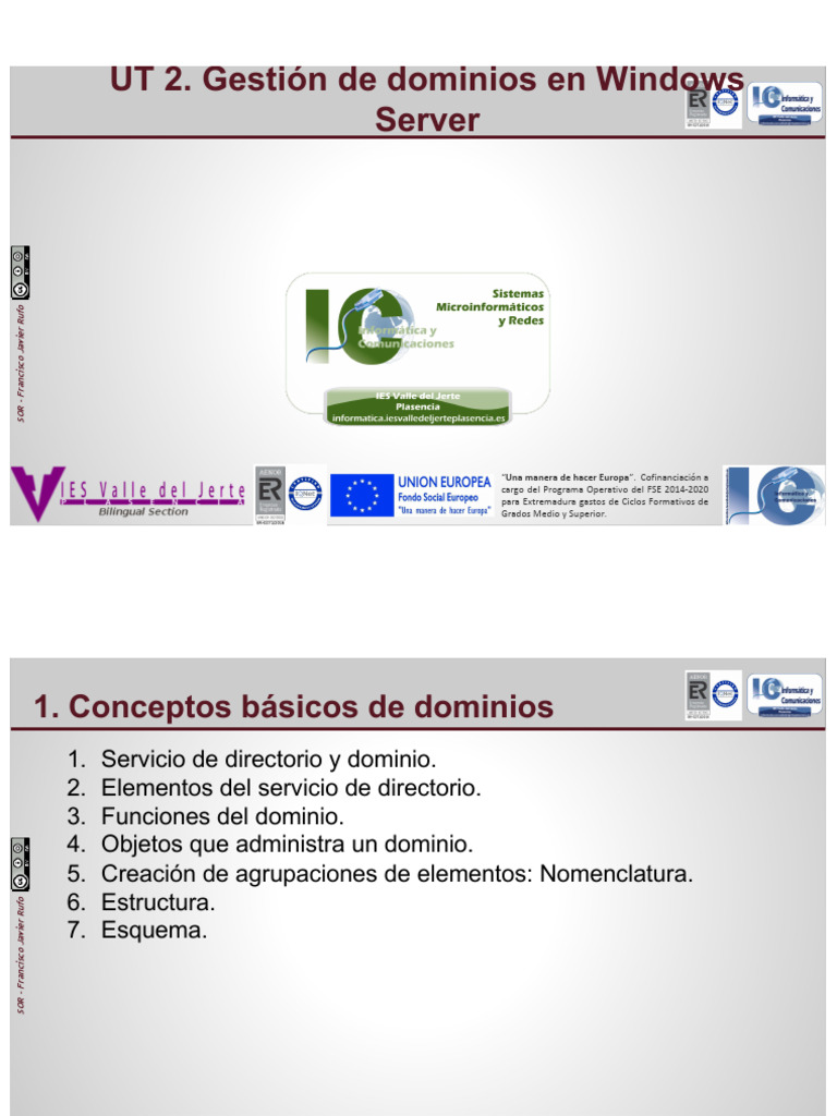 Conceptos Básicos de Dominios | PDF