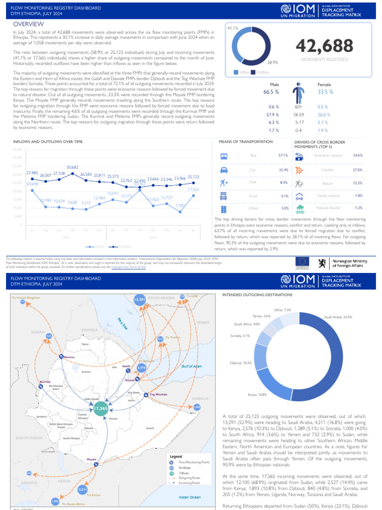 DTM Ethiopia Flow Monitoring Dashboard (July 2024) | PDF