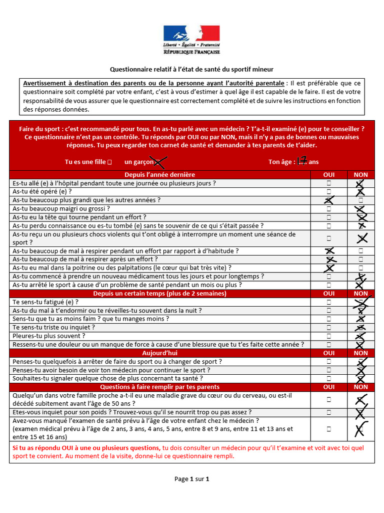 Questionnaire Sante2k24 | PDF