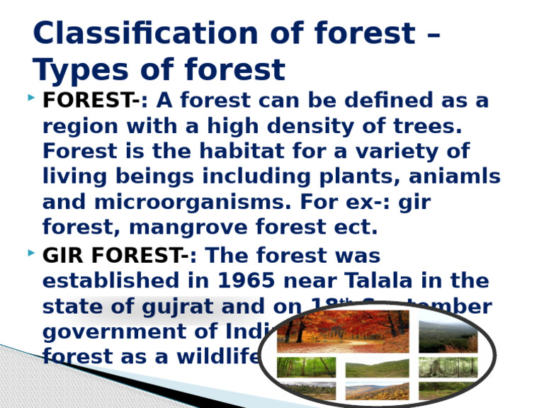 Classification of Forest - Types of Forest 2 | PDF