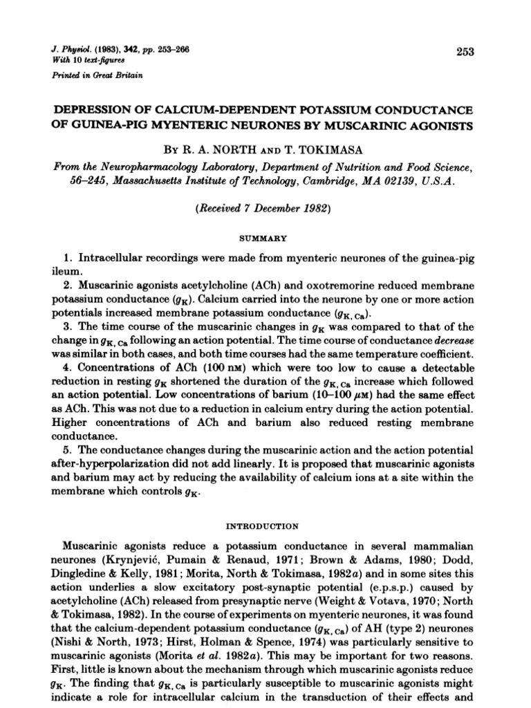 R.A. North and T. Tokimasa - Depression of Calcium-Dependent Potassium ...
