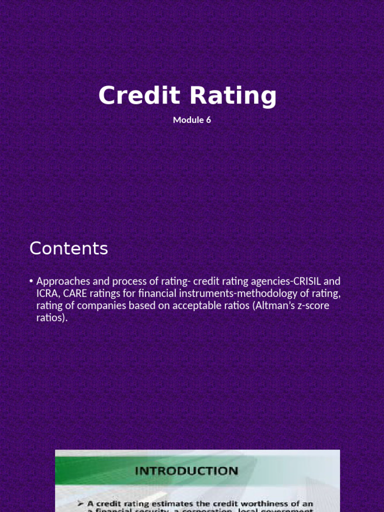 Module 6 Credit Rating PDF
