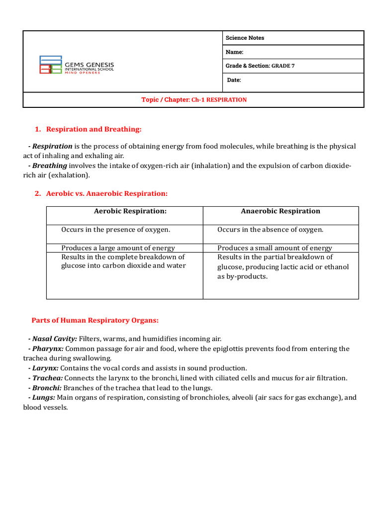 Respiration 1 GR 7th | PDF