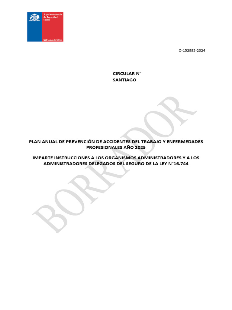 Borrador Plan Anual de Prevención de Riesgos 2025 | PDF