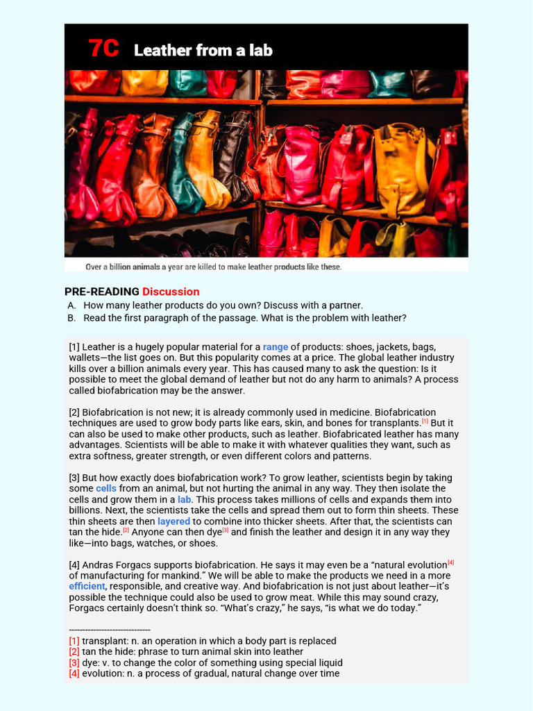 (Worksheet) 7C Leather From A Lab | PDF