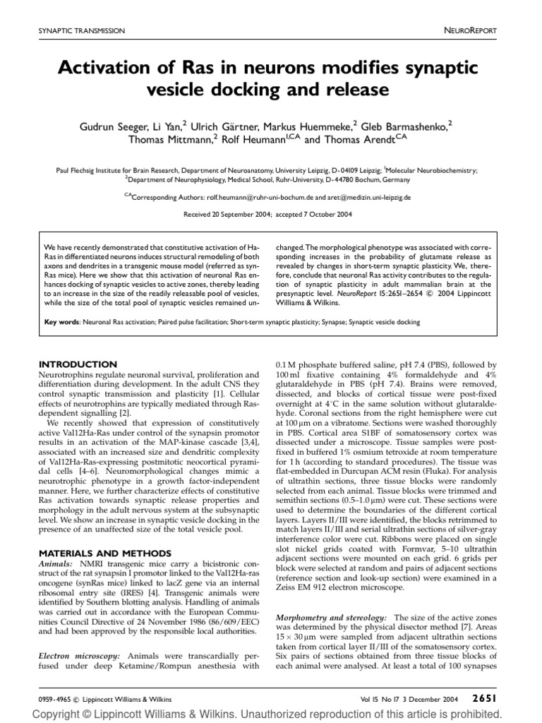 Activation of Ras in Neurons Modifies Sy | PDF