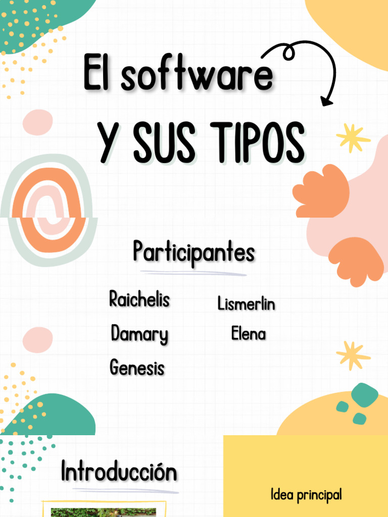 Software y Sus Tipos | PDF | Negocios | Informática