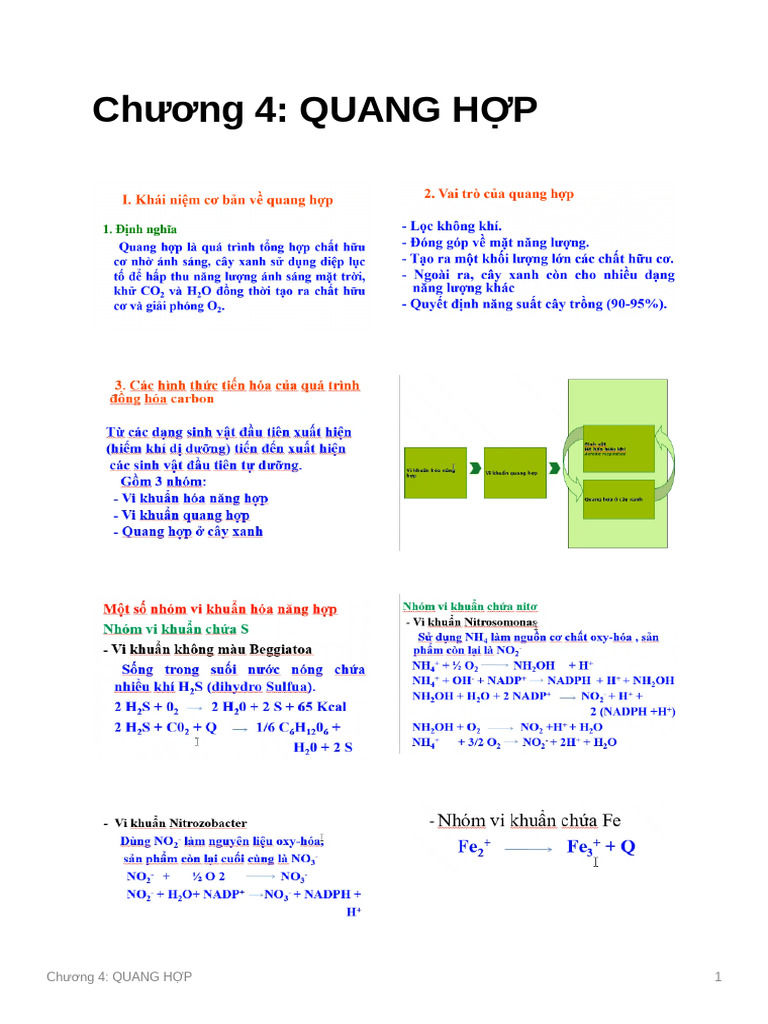 CHNG 4 QUANG HP | PDF